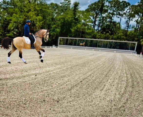 17225 Mare Lane, The Acreage, FL 33470