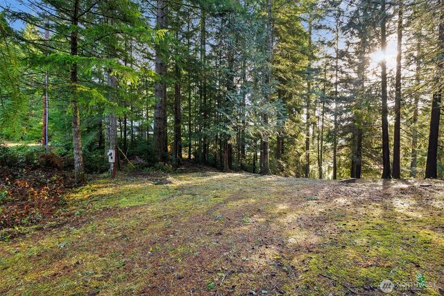 30 E Tahuya Drive, Shelton, WA 98584