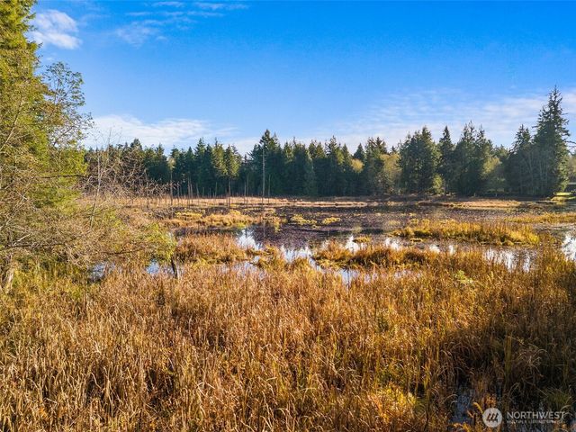 30 E Tahuya Drive, Shelton, WA 98584