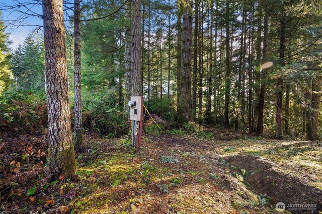 30 E Tahuya Drive, Shelton, WA 98584