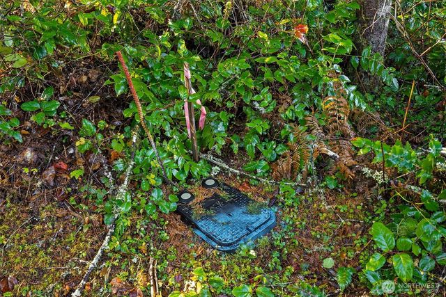 30 E Tahuya Drive, Shelton, WA 98584