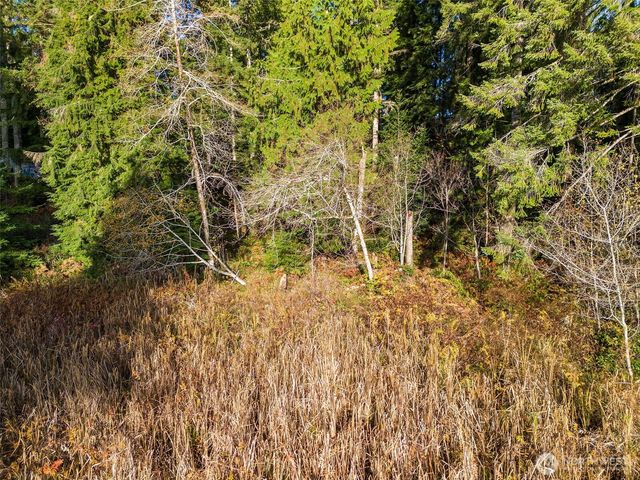 30 E Tahuya Drive, Shelton, WA 98584