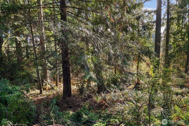 30 E Tahuya Drive, Shelton, WA 98584