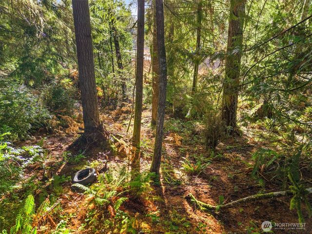 30 E Tahuya Drive, Shelton, WA 98584