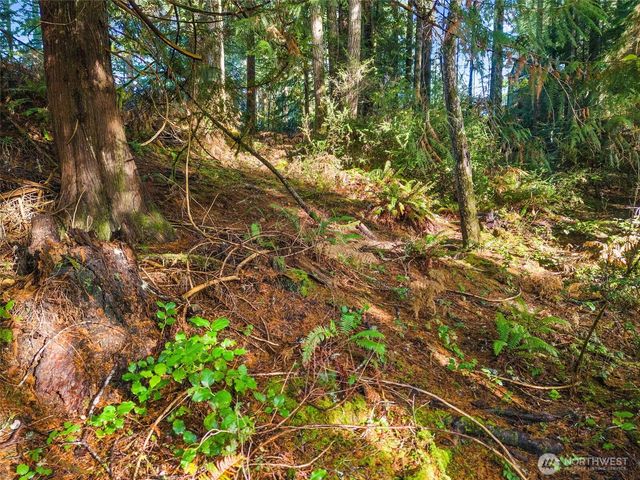 30 E Tahuya Drive, Shelton, WA 98584