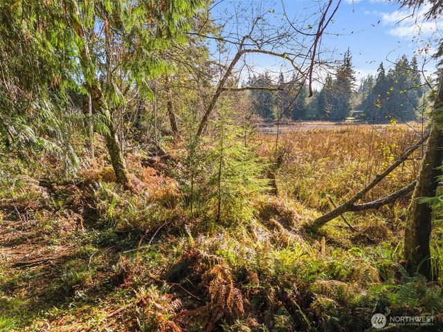 30 E Tahuya Drive, Shelton, WA 98584