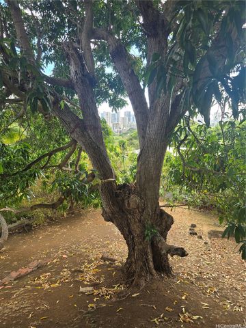 2026 Ahualani Place A, Honolulu, HI 96822