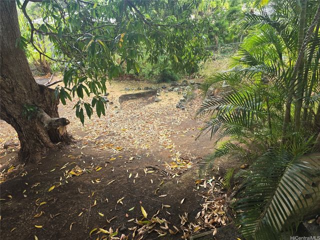 2026 Ahualani Place A, Honolulu, HI 96822