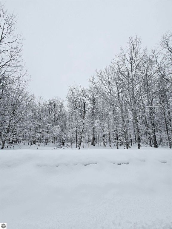 Image 1 of property listing at 311 Parkridge Drive, Mancelona, MI 49659