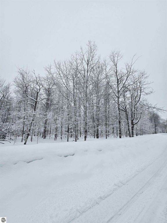 Image 2 of property listing at 311 Parkridge Drive, Mancelona, MI 49659