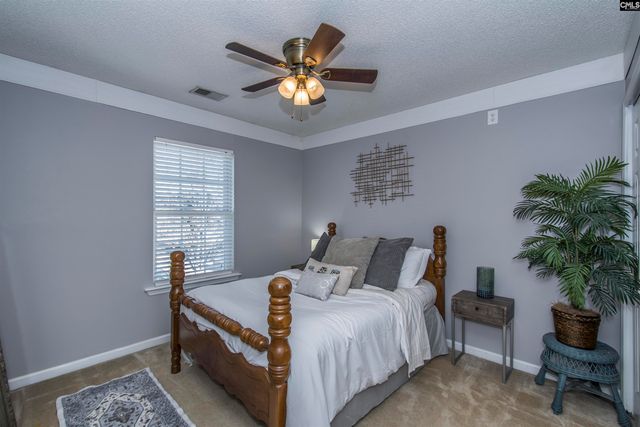 317 Tisbury Court, Lexington, SC 29072