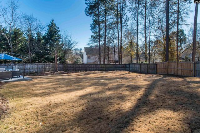 317 Tisbury Court, Lexington, SC 29072