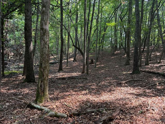 8 Mystic Ridge, Blairsville, GA 30512