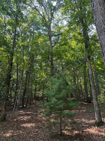 8 Mystic Ridge, Blairsville, GA 30512