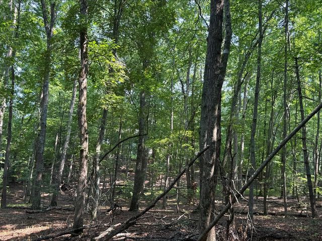 8 Mystic Ridge, Blairsville, GA 30512