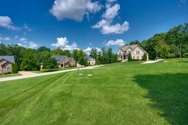 1198 Meadow Bridge Ln, Arrington, TN 37014