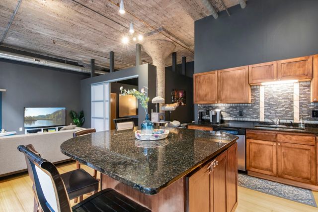 521 S 7th Street 419, Minneapolis, MN 55415