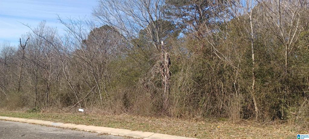 3290 HILLCREST PLACE, Adamsville, AL 35005