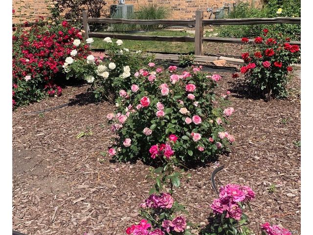 3354 S Kendall St, Denver, CO 80227