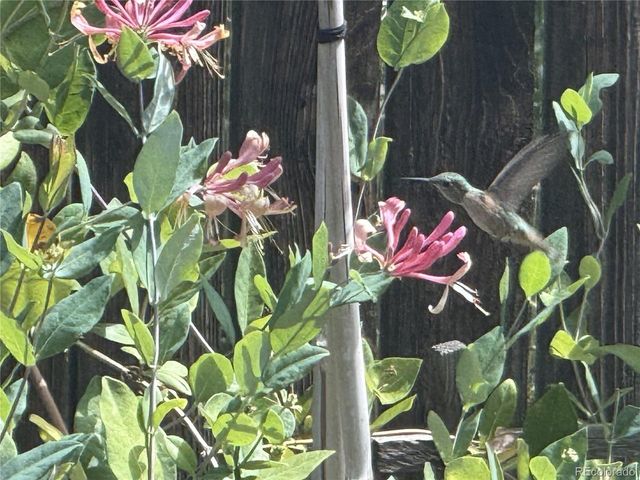 3354 S Kendall St, Denver, CO 80227