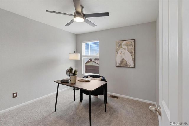 3788 Cadence Drive, Castle Rock, CO 80109