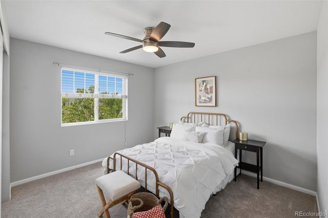 3788 Cadence Drive, Castle Rock, CO 80109