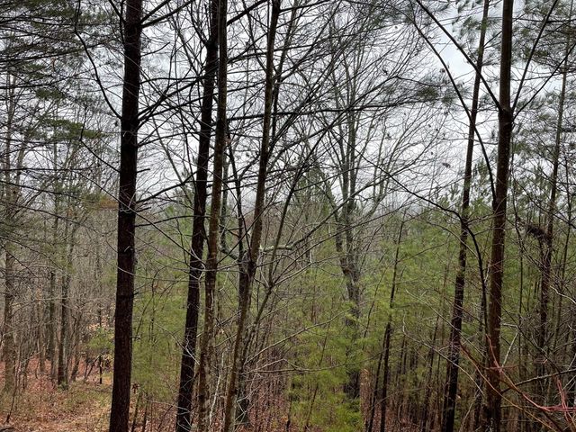 26 Sunset View, Blairsville, GA 30512
