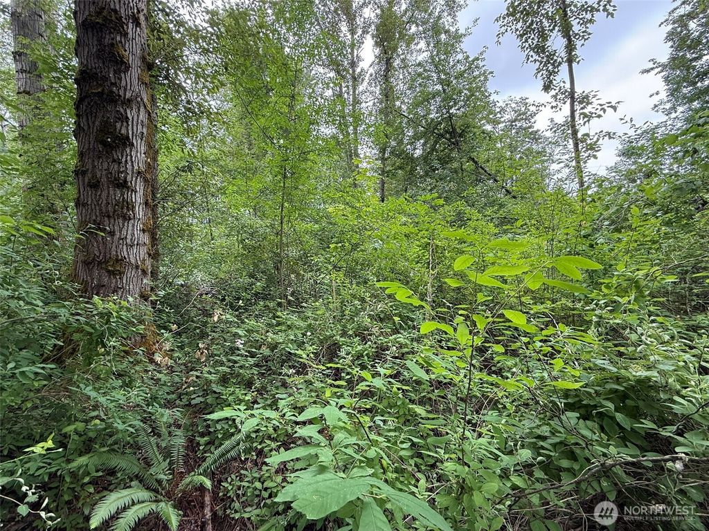 1810 S 27th Street, Renton, WA 98055