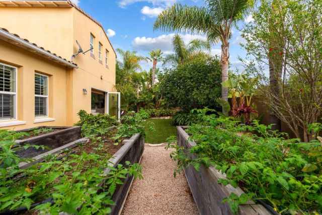 817 Dolphin, Encinitas, CA 92024