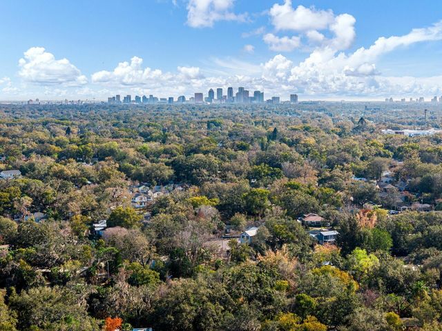 1214 E PARK CIRCLE, Tampa, FL 33604