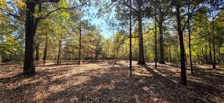 6 Acres North Broad St, Cowarts, AL 36321