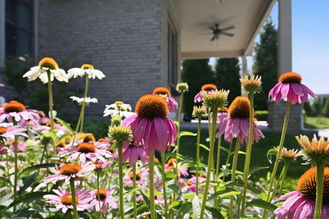 809 Morgan Drive, Monroe, OH 45050