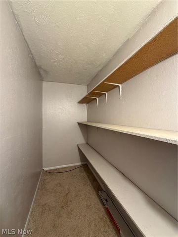 1651 Mentor Avenue 2001, Painesville, OH 44077
