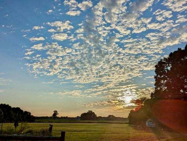 13297 N Clio Road, Clio, MI 48420