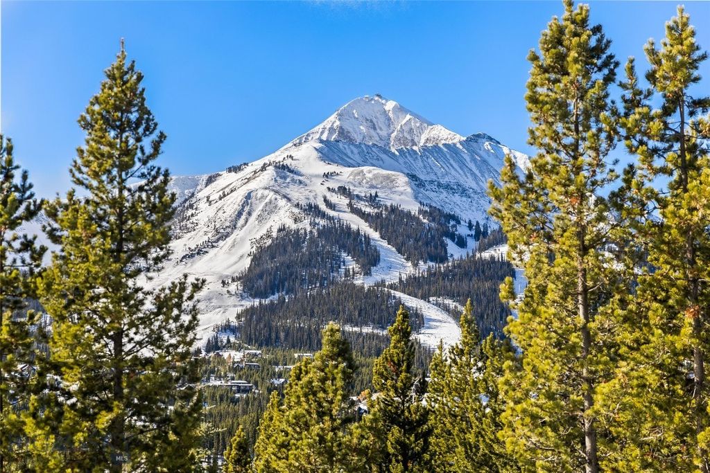 17 Swift Bear, Big Sky, MT 59716 photo 17