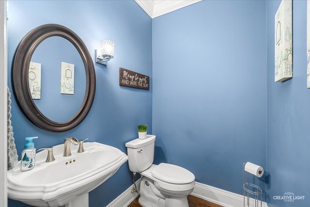 119 Settlers Drive, Naperville, IL 60565