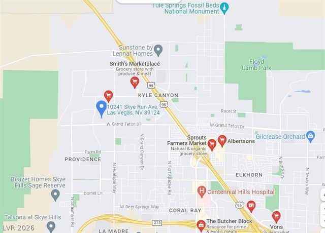 10241 Skye Run Avenue, Las Vegas, NV 89166