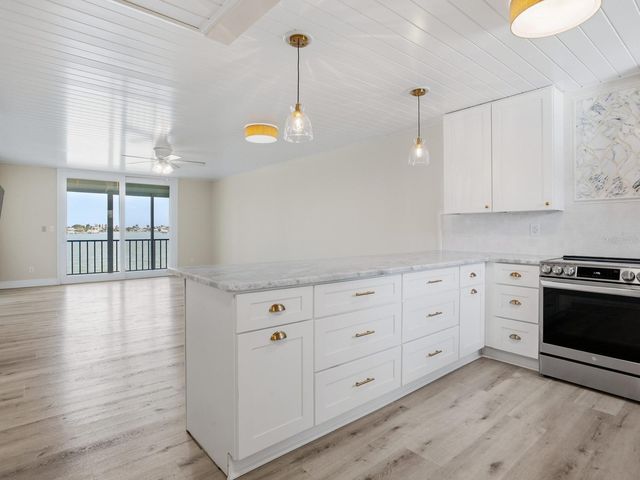 7920 SUN ISLAND DRIVE S 202, South Pasadena, FL 33707
