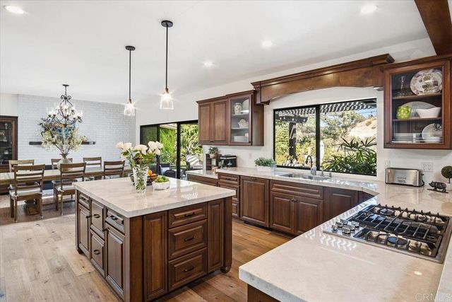 734 Avocado Ct, Del Mar, CA 92014