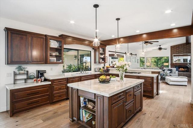 734 Avocado Ct, Del Mar, CA 92014