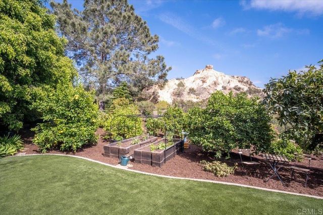 734 Avocado Ct, Del Mar, CA 92014