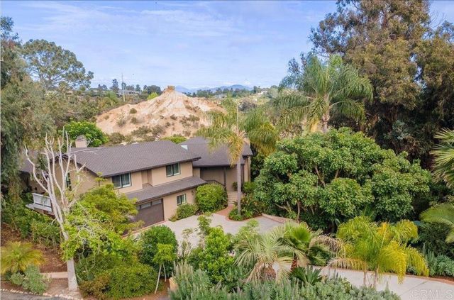 734 Avocado Ct, Del Mar, CA 92014