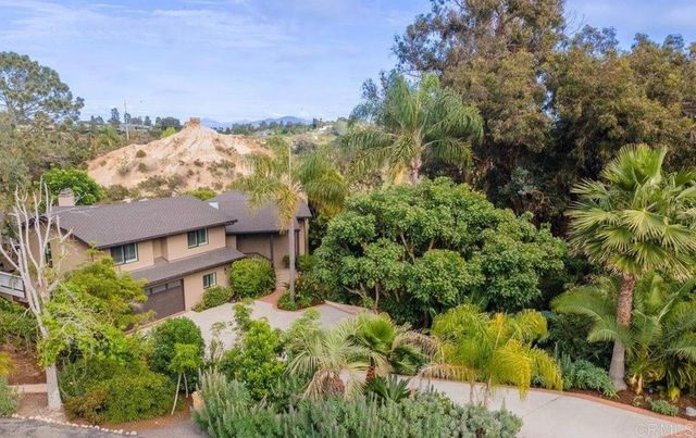 734 Avocado Ct, Del Mar, CA 92014