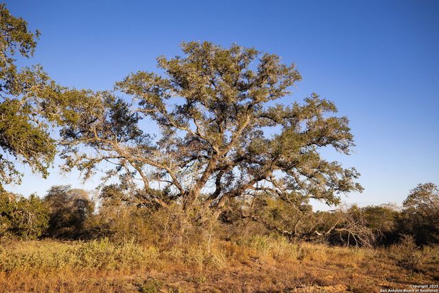 552 PR Arroyo Vista Lot 41, Somerset, TX 78069