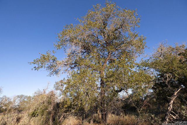 552 PR Arroyo Vista Lot 41, Somerset, TX 78069