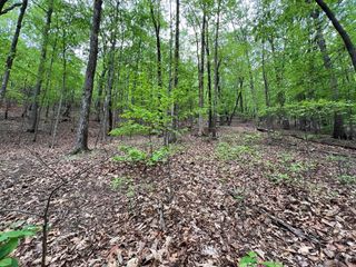 387 Windflower Drive, Dawson, GA 30143