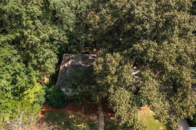 4229 HARPERS FERRY ROAD, Mountain Brook, AL 35213
