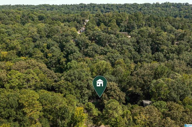 4229 HARPERS FERRY ROAD, Mountain Brook, AL 35213