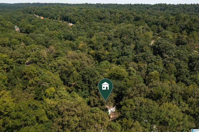 4229 HARPERS FERRY ROAD, Mountain Brook, AL 35213