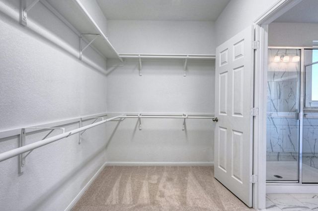 2642 Blue Abbot Drive, Fresno, TX 77545